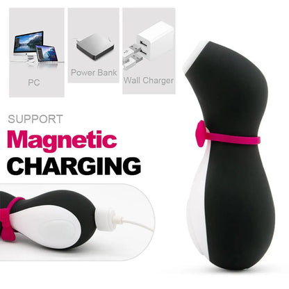 6 Mode Suction Massager